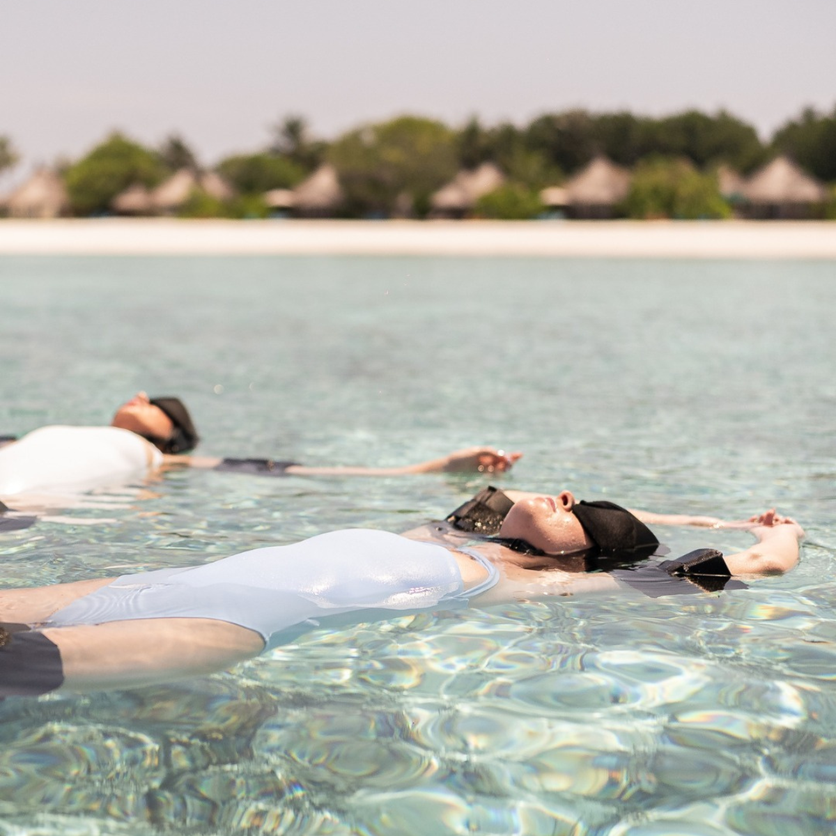 Banyan Tree Connections